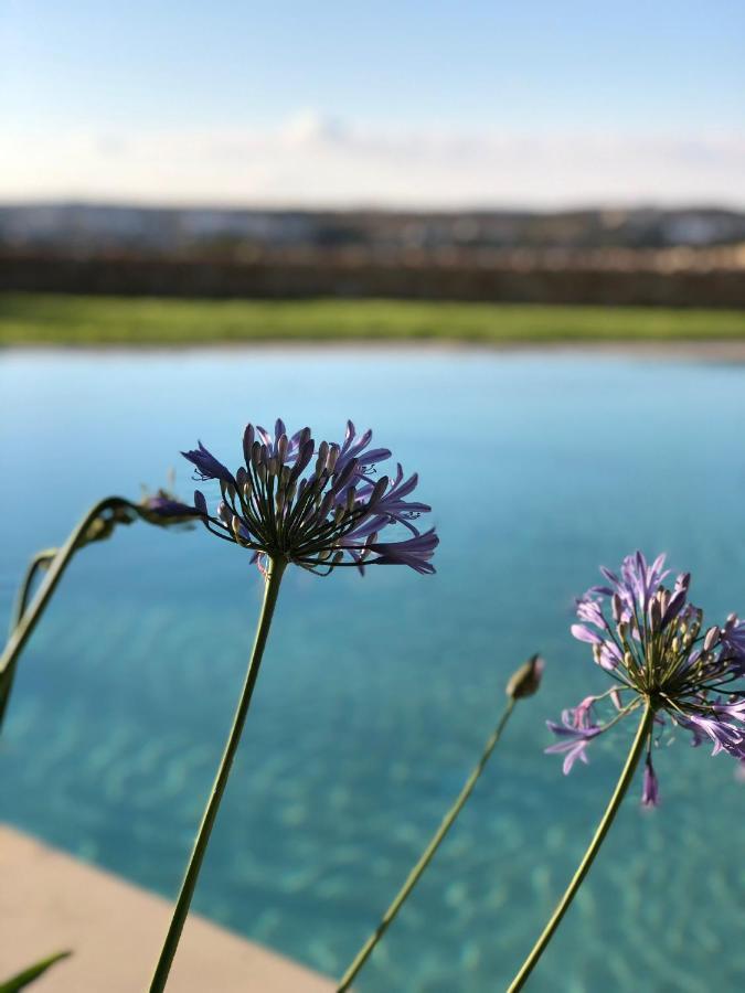 Sunset Oasis Villa L-Imgarr Exterior photo